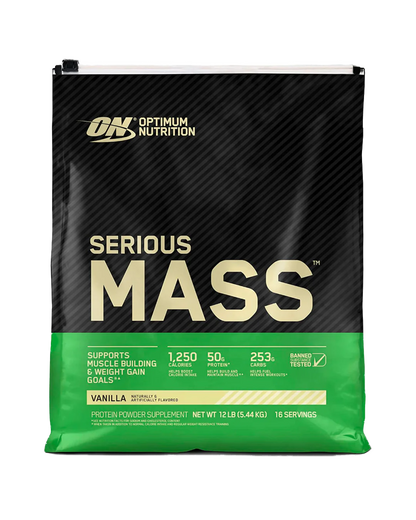 SERIOUS MASS